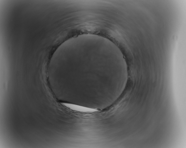 X0000088141297200706111418