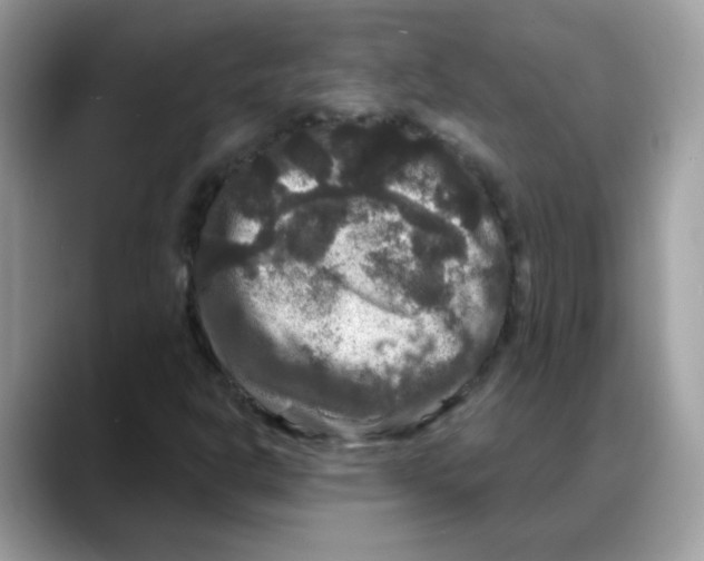 X0000088141302200706111418