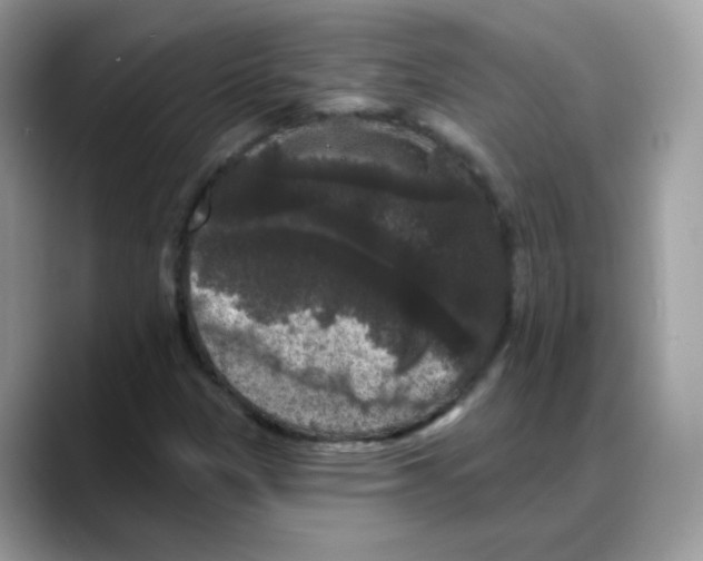 X0000088141305200706111418