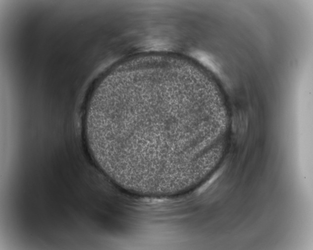 X0000088141309200706111418