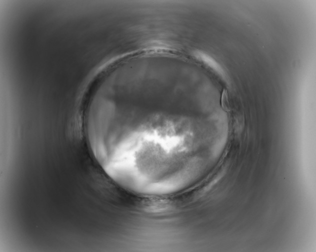 X0000088141310200706111418