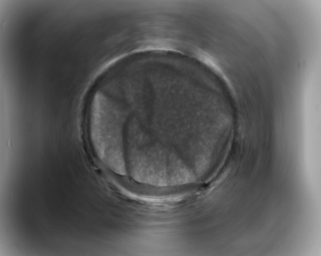 X0000088141312200706111418