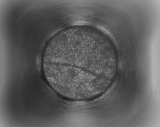 X0000088141313200706111418