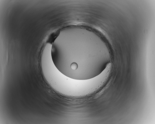 X0000088141314200706111418