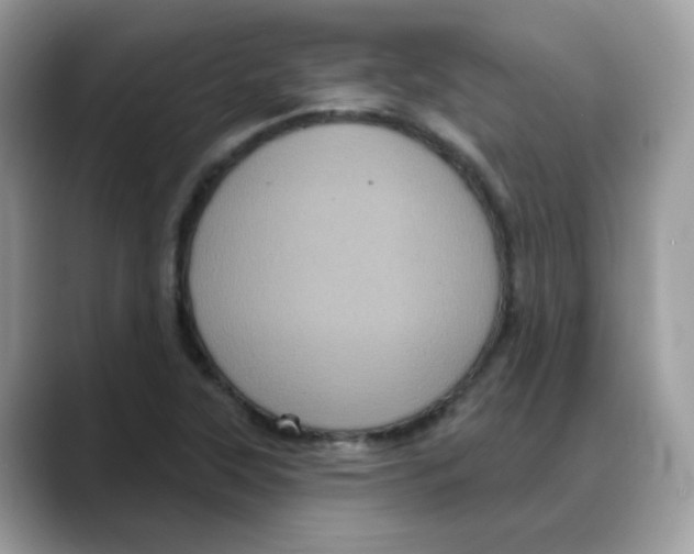 X0000088141315200706111418