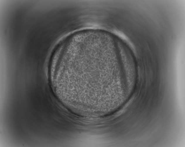 X0000088141318200706111418