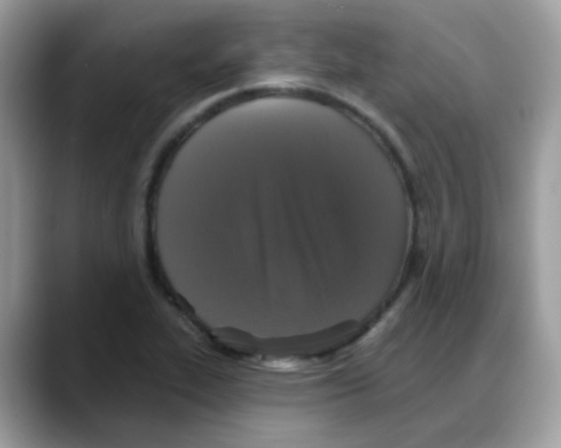 X0000088141319200706111418