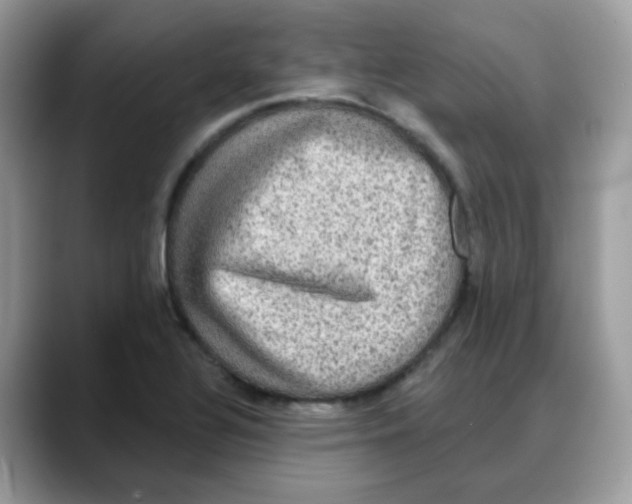 X0000088141320200706111418