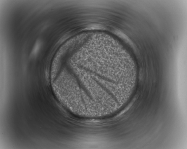 X0000088141321200706111418