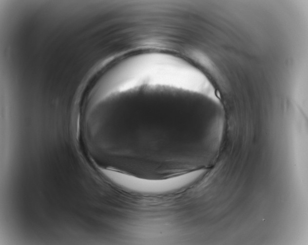 X0000088141323200706111418