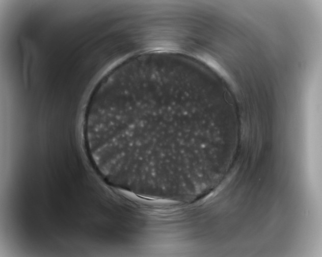 X0000088141325200706111418