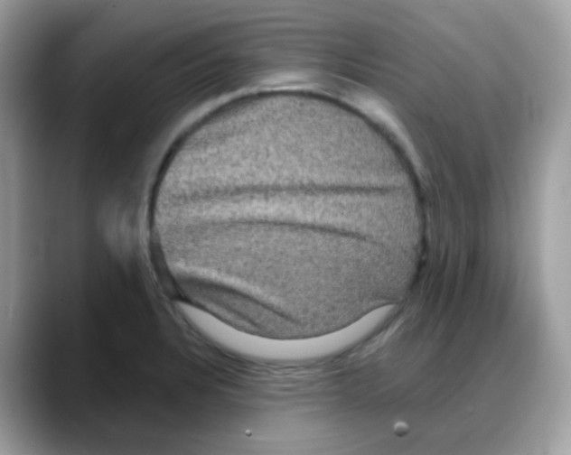 X0000088141328200706111418