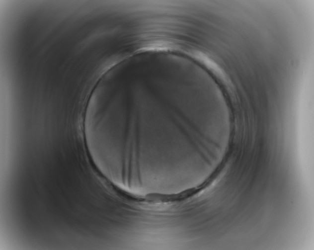 X0000088141329200706111418