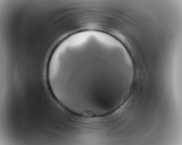 X0000088141331200706111418