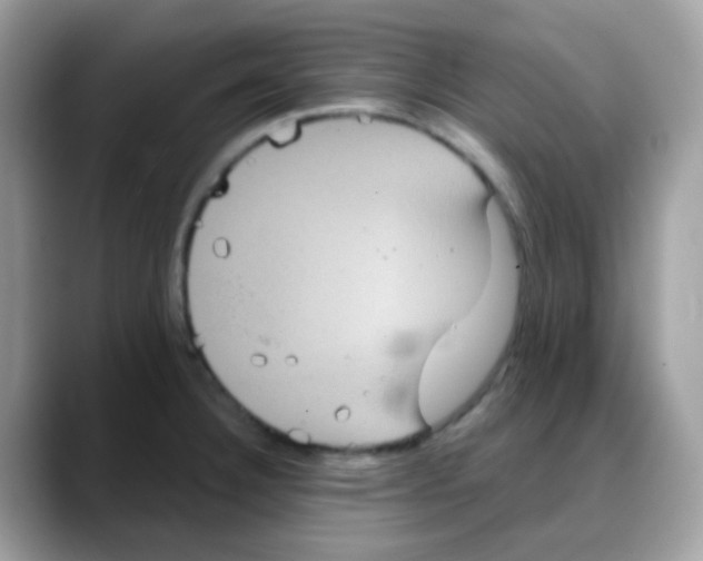 X0000088141332200706111418