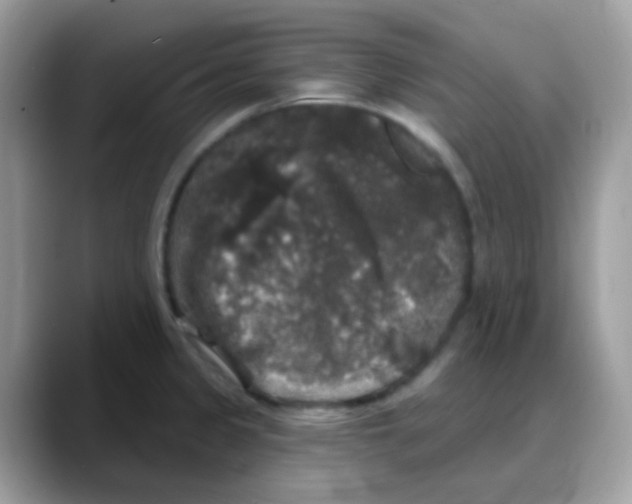 X0000088141333200706111418