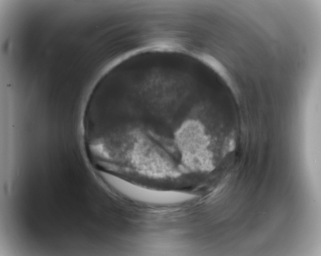 X0000088141335200706111418