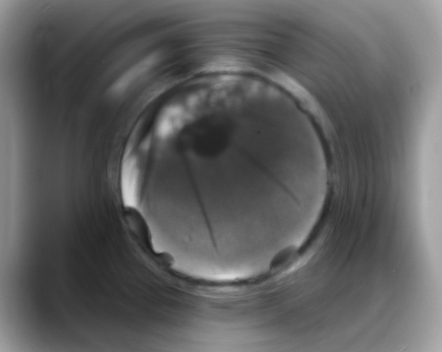 X0000088141337200706111418