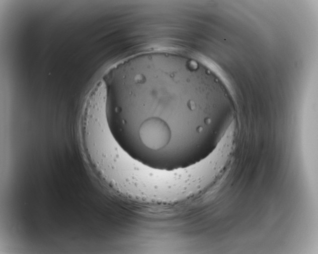 X0000088141338200706111418