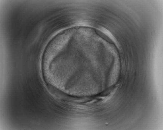 X0000088141339200706111418