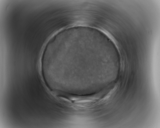 X0000088141341200706111418