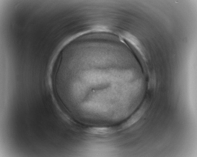 X0000088141342200706111418