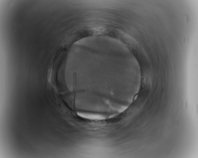 X0000088141346200706111418