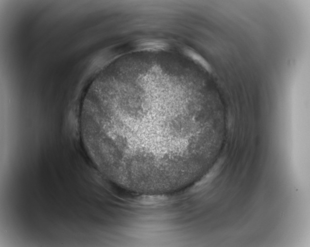 X0000088141354200706111418