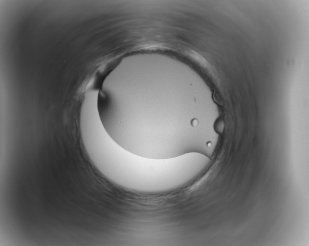 X0000088141361200706111418