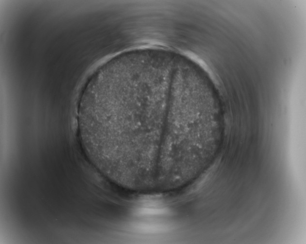 X0000088141363200706111418