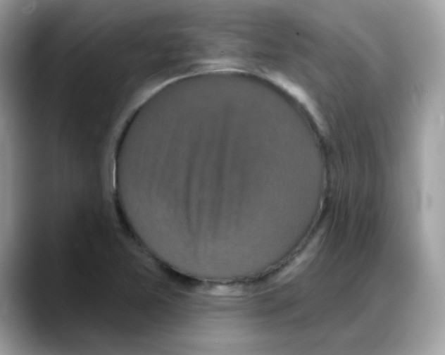 X0000088141365200706111418