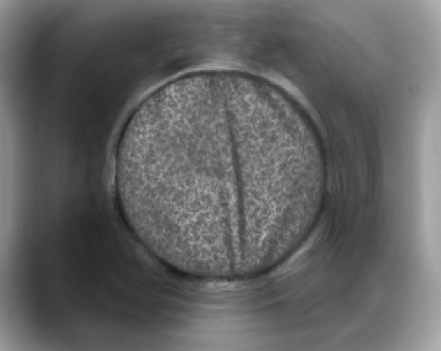 X0000088141366200706111417