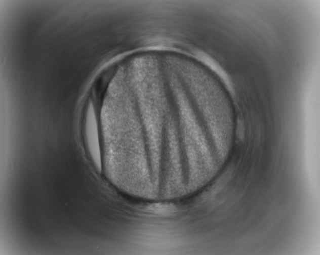 X0000088141368200706111417