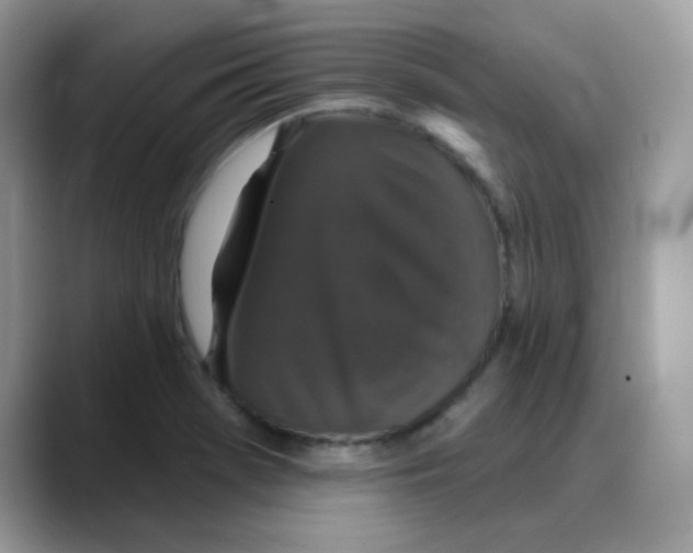 X0000088141369200706111417