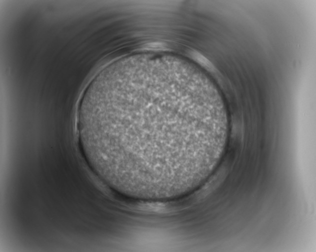 X0000088141370200706111417