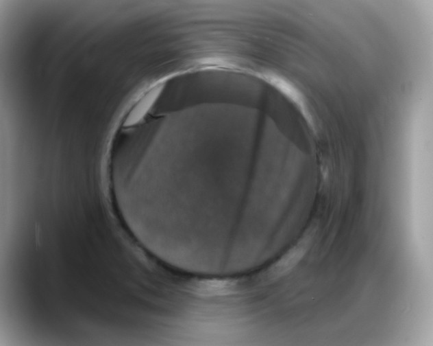 X0000088141373200706111417