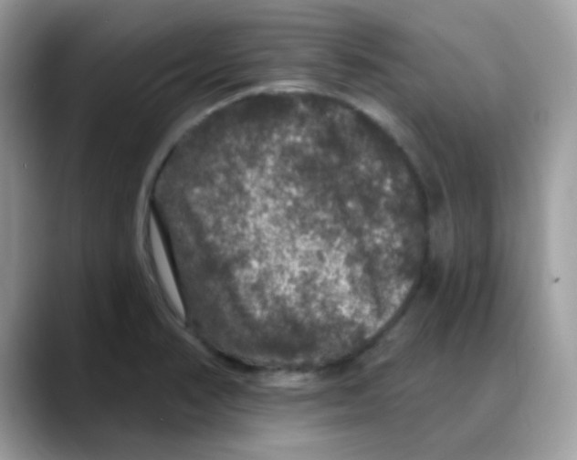 X0000088141374200706111417