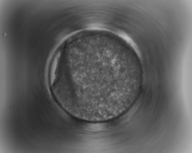 X0000088141376200706111417