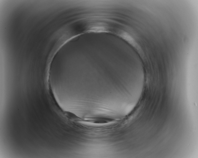 X0000088141378200706111417