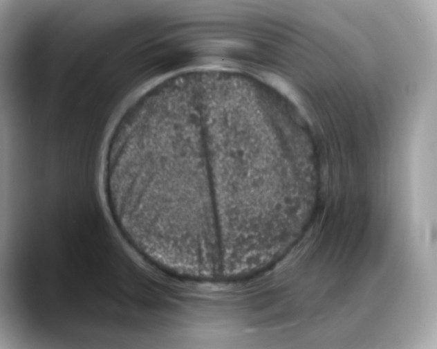 X0000088141379200706111417