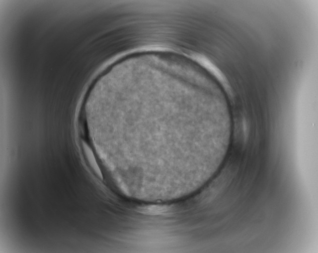 X0000088141380200706111417