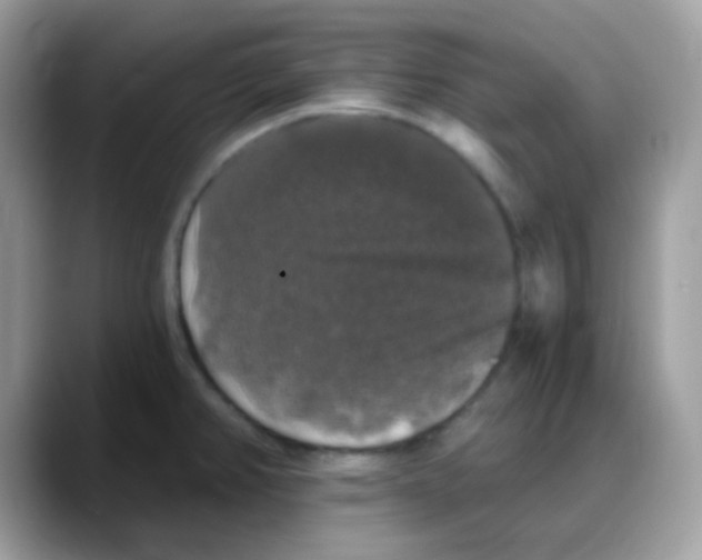 X0000088141382200706111417