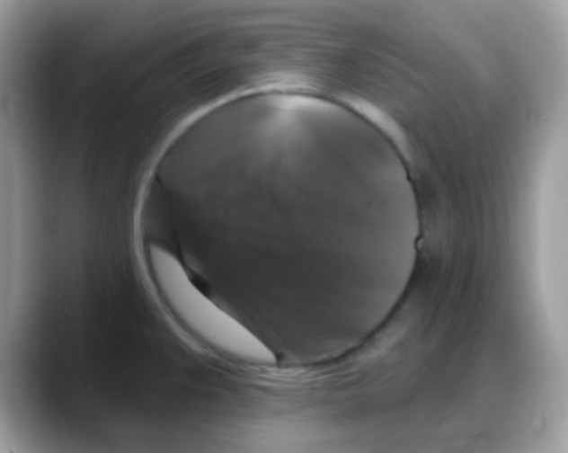 X0000088141383200706111417