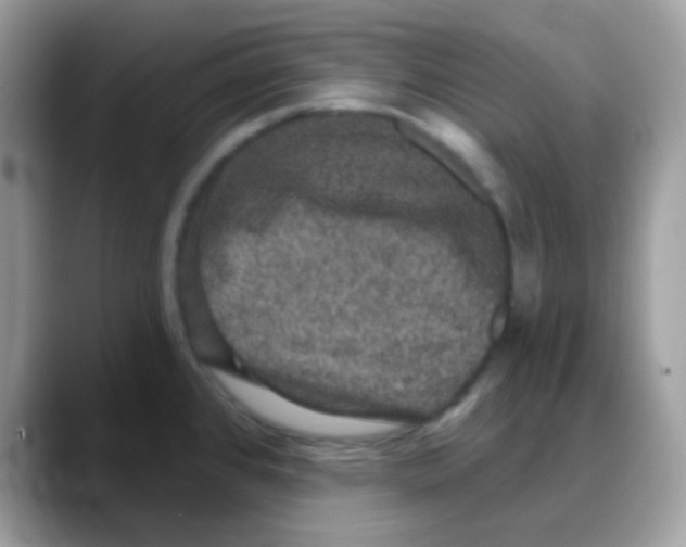 X0000088141384200706111417