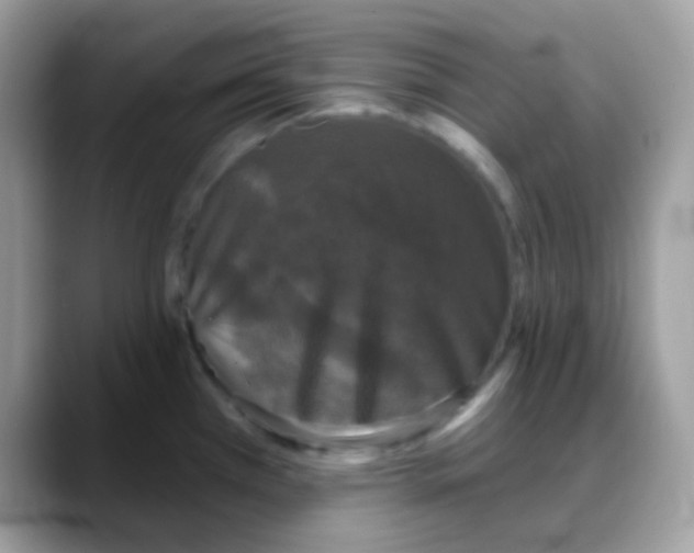 X0000088141385200706111417