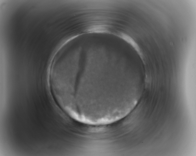 X0000088141386200706111417