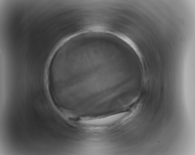 X0000088141389200706111417