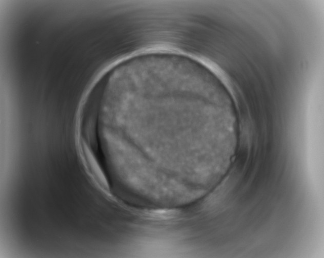 X0000088141390200706111417