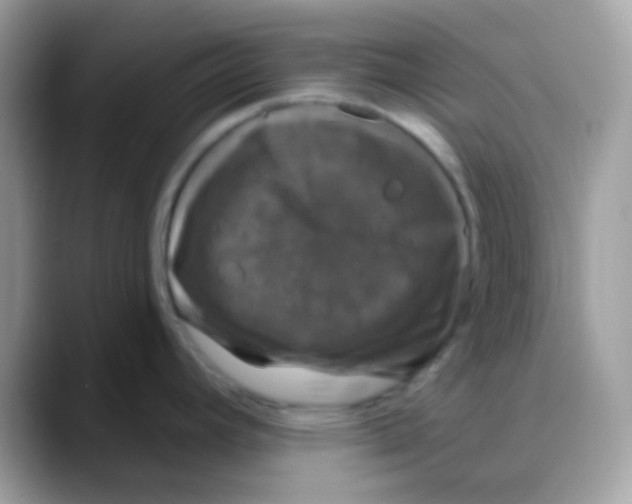 X0000088141392200706111417