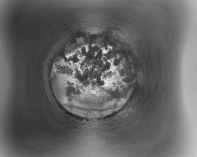 X0000088141393200706111417